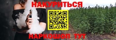 индика Дубна