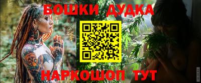 индика Дубна