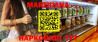 индика Дубна