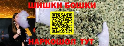 индика Дубна