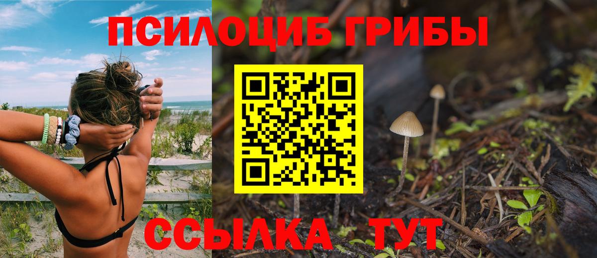 Галлюциногенные грибы Magic Shrooms  Вход с VPN  Новомосковск 